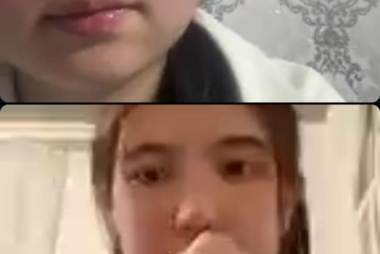 Құқық және жауапкершілік тақырыбымен бейнероликтер көрсетіліп, талданды.